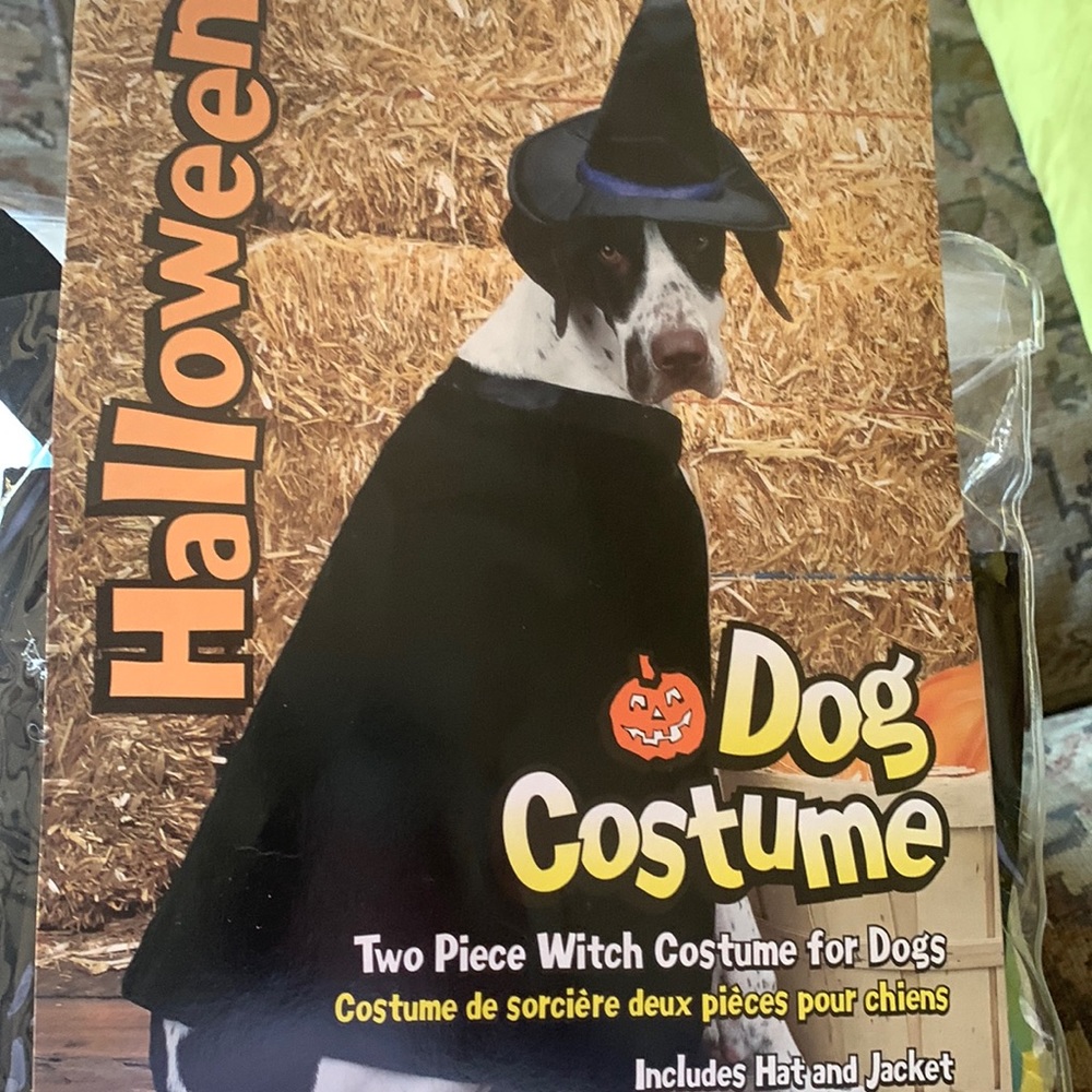 2-piece Witch Costume for dogs XL
